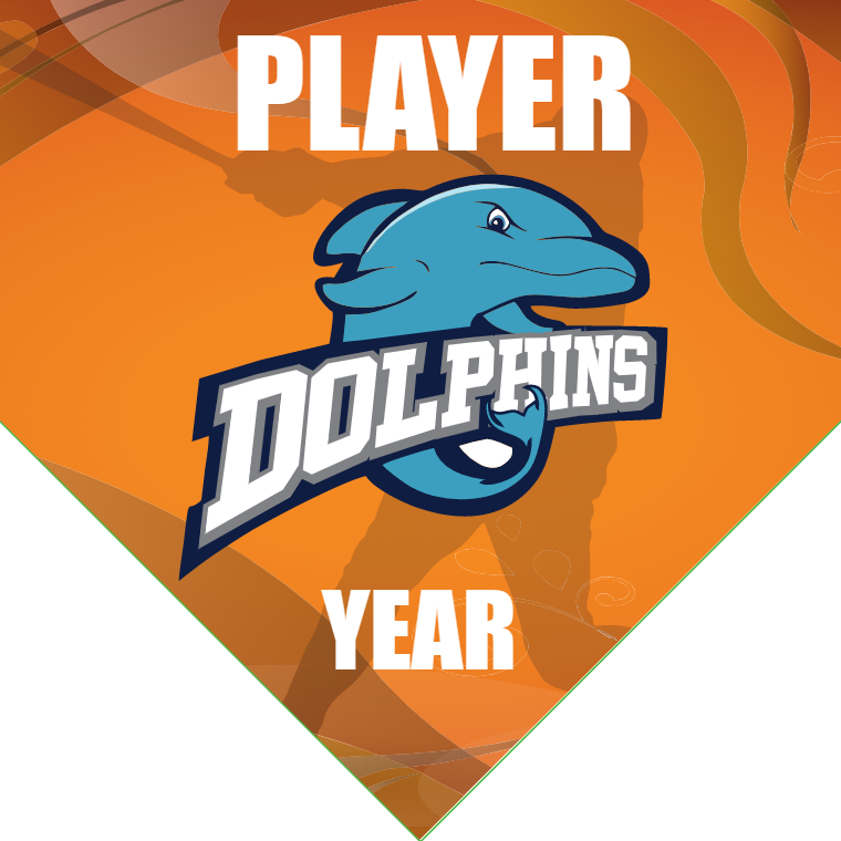 Dolphins 1 Softball Banner-softball-banner-backgrounds-images