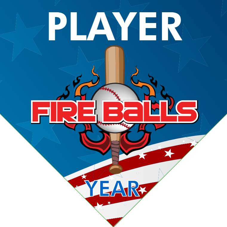 Fast Pitch 1 Softball Banner-softball-banner-designs-images