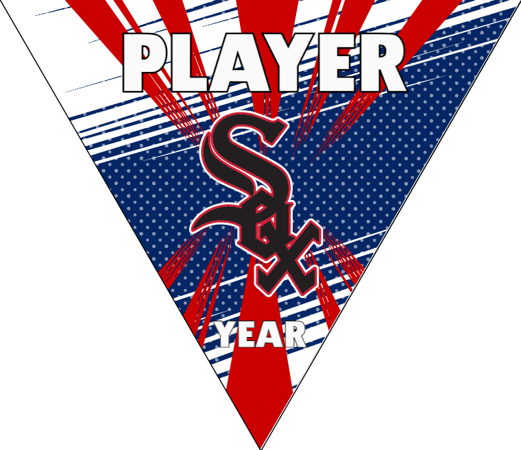 Chicago white Baseball Banner-baseball-banners-for-little-league-homemade-images