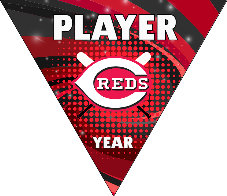 Cincinnati 2 Baseball Banner-star-spangled-banner-baseball-game-images