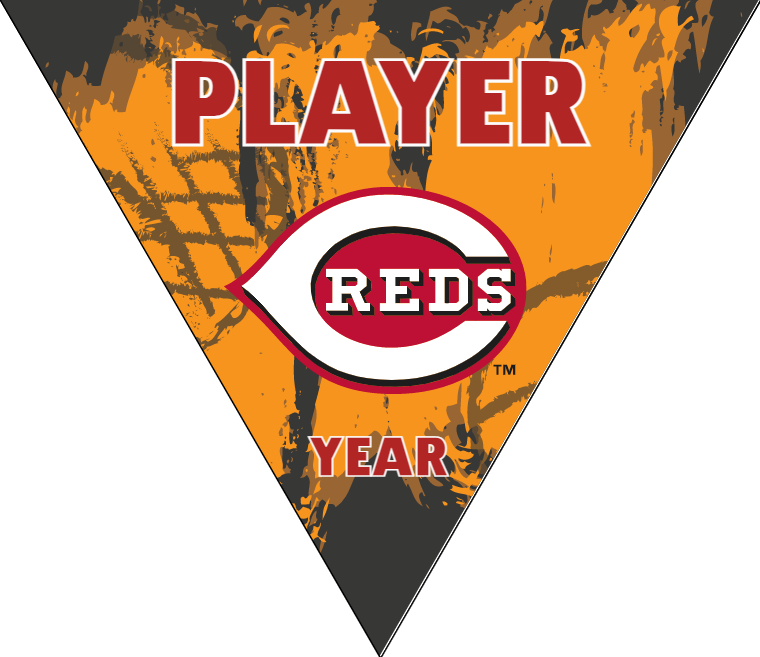 Cincinnati Reds Baseball Banner-baseball-banners-homemade-images