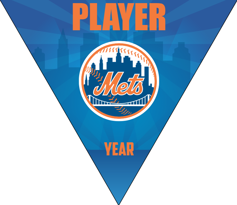 Mets 5 Softball Banner-homemade-softball-banners-ideas-picture