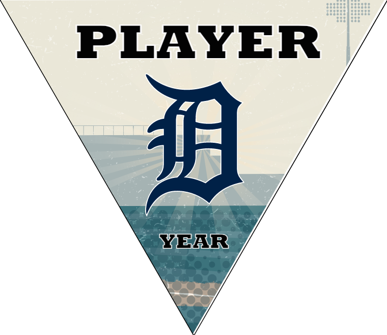 Detroit Baseball Banner-baseball-banner-samples-images