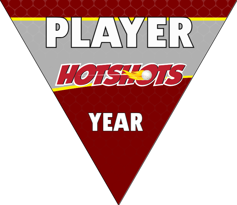 Hotshots Baseball Banner-baseball-birthday-banner-printable-images