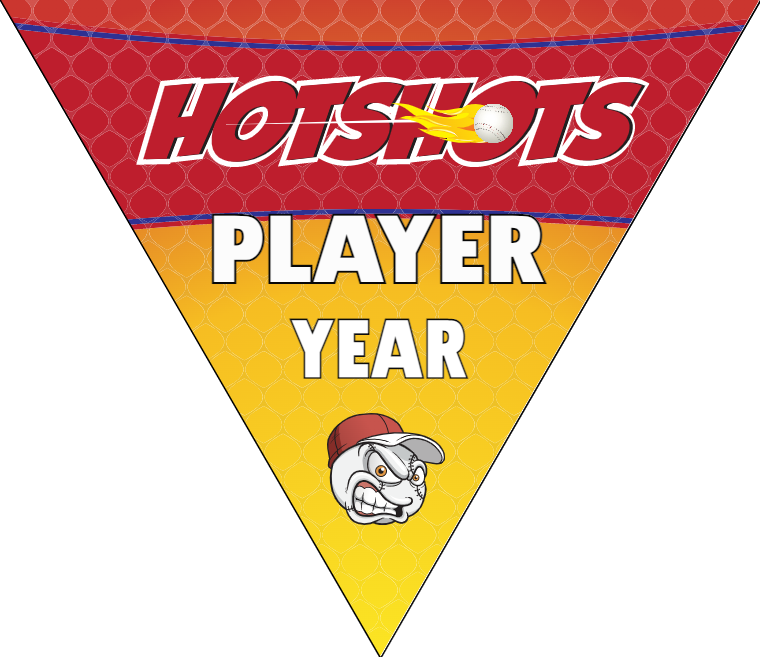 Hotshots4 Baseball Banner-free-baseball-banner-background-images