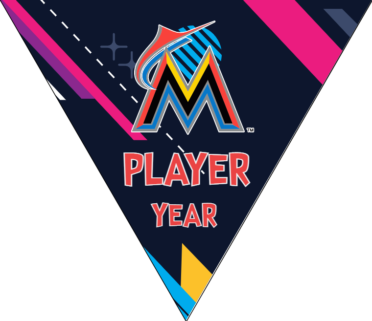 Miami Marlins 2 Baseball Banner-tim-banner-baseball-coach-images