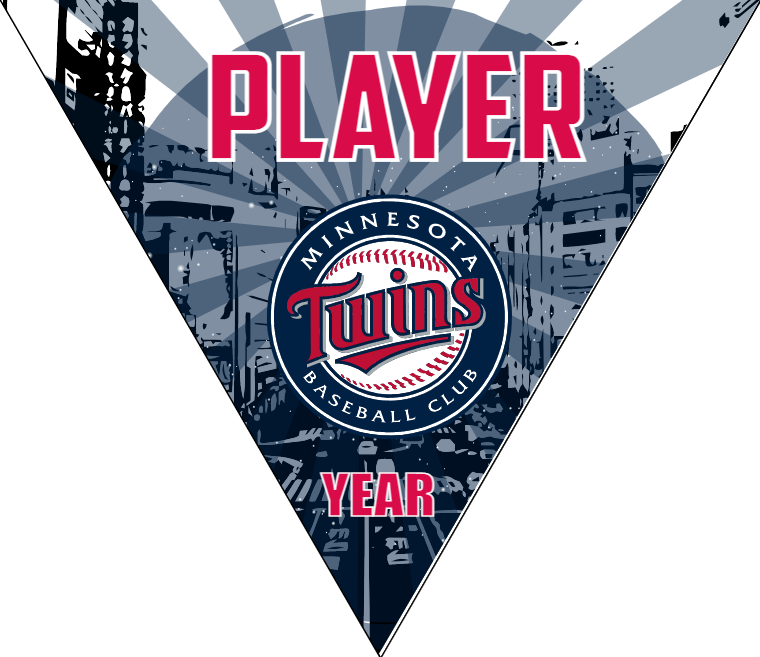 Minnesota 2 Baseball Banner-free-baseball-banner-design-images