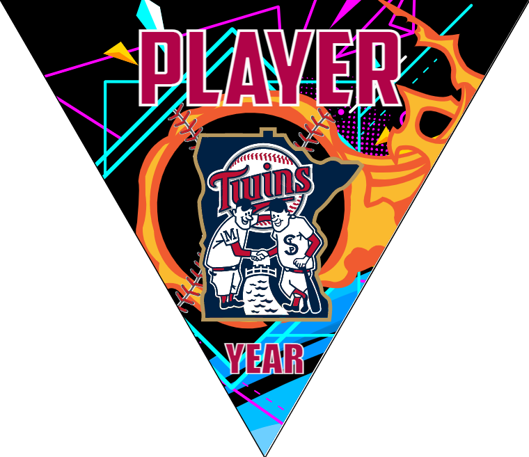 Minnesota Twins 2 Baseball Banner-design-baseball-banner-online-images
