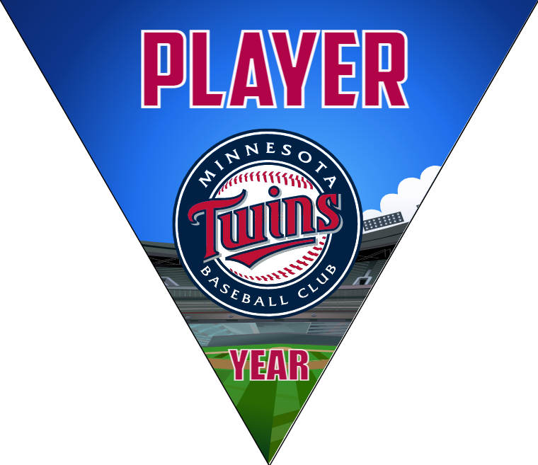 Minnesota Twins Baseball Banner-dodgers-baseball-banner-images