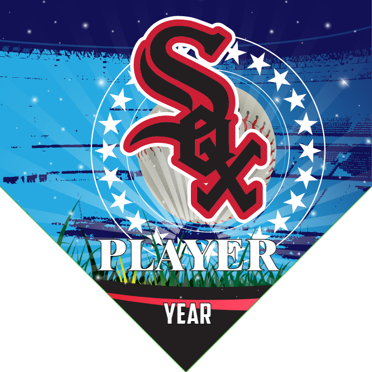 Chicago white 2 Baseball Banner-diy-baseball-banner-images