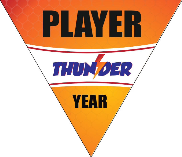 Thunder 2 Baseball Banner-diy-baseball-team-banner-images