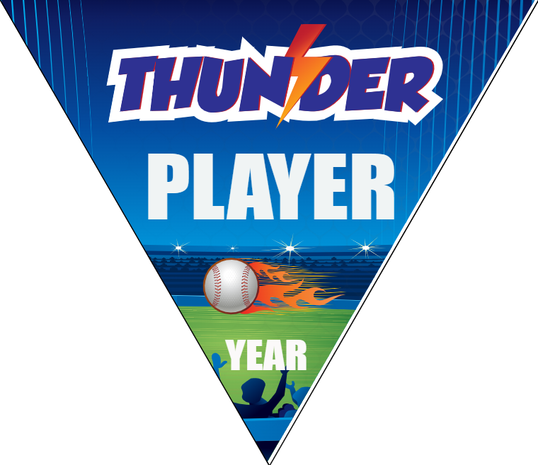 Thunder1 Baseball Banner-usa-baseball-banner-images