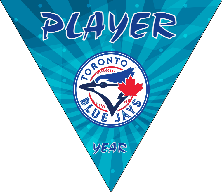 Toronto Baseball Banner-baseball-banner-with-sponsors-images