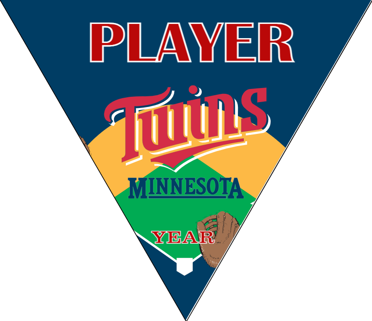 Twins 2 Baseball Banner-modern-baseball-wall-banner-images