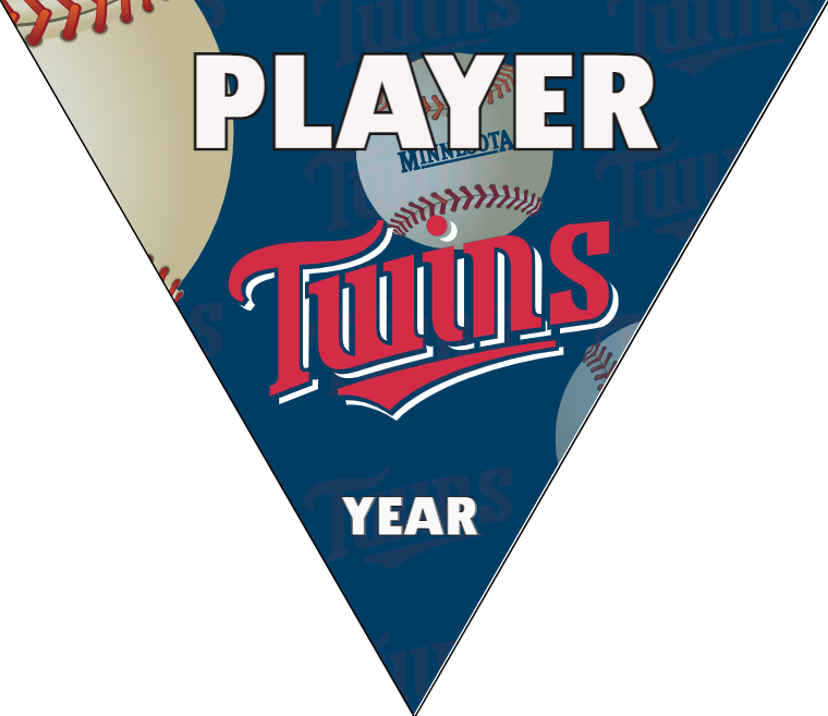 Twins Baseball Banner-youth-baseball-banner-images