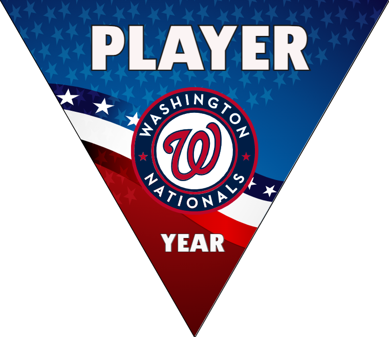 Washington Baseball Banner-baseball-banners-signs-images