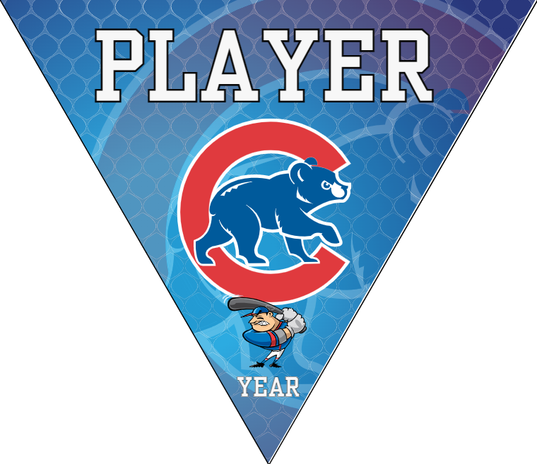 Cubs Baseball Banner-nike-baseball-banners-images