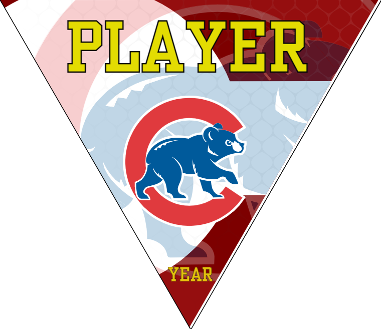 Cubs4 Baseball Banner-baseball-banner-party-city-images