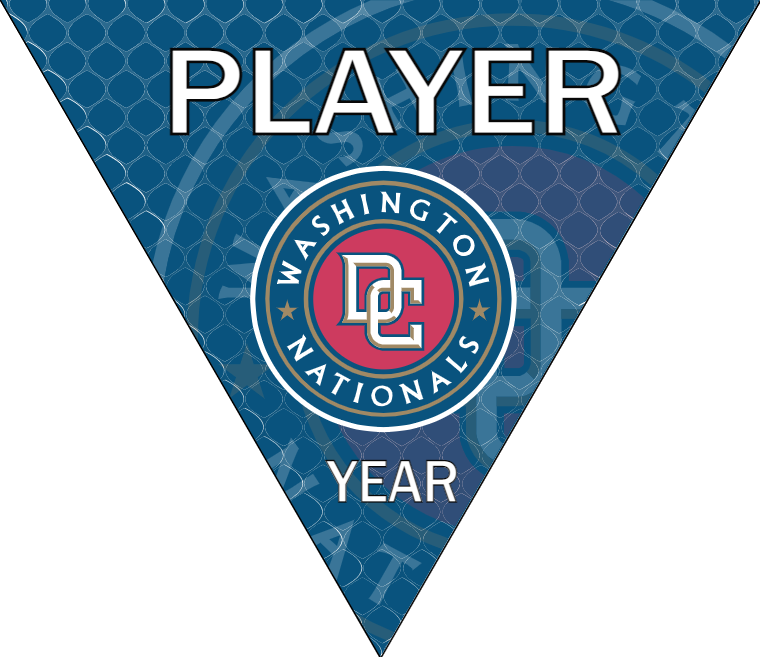Nationals 2 Baseball Banner-baseball-banners-with-pictures-images