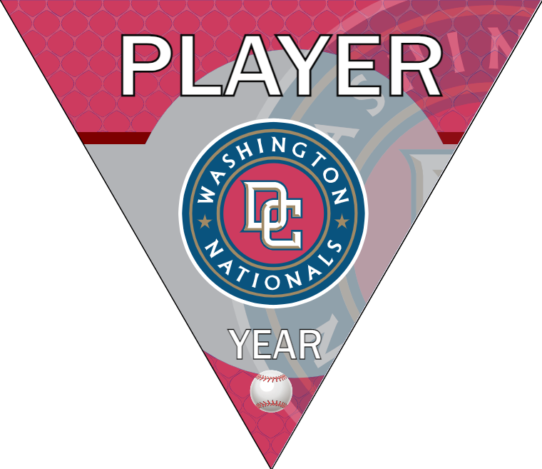 Nationals Baseball Banner-baseball-banners-temecula-images