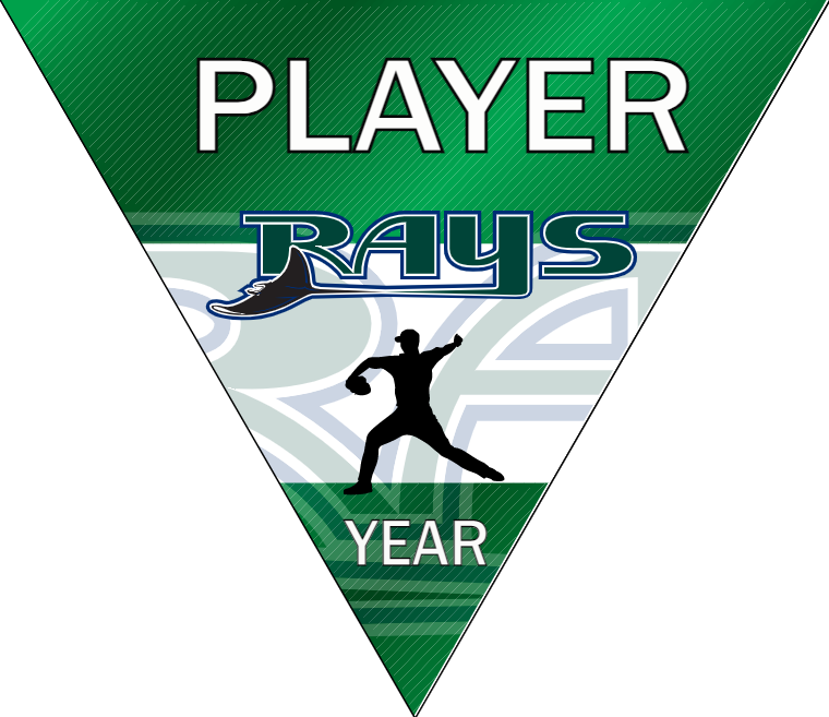 Rays 2 Baseball Banner-digital-baseball-banners-images