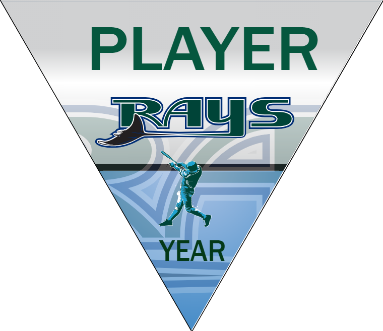 Rays Baseball Banner-ebay-baseball-banners-images