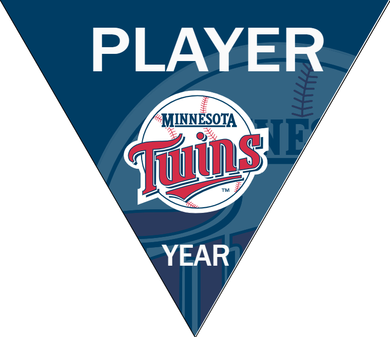 Twins 2 Baseball Banner-vintage-baseball-banners-images