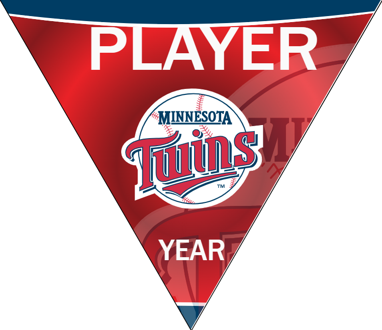 Twins Baseball Banner-how-to-make-baseball-banners-images