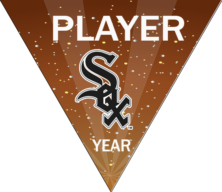 White Sox 2 Baseball Banner-custom-baseball-photo-banners-images