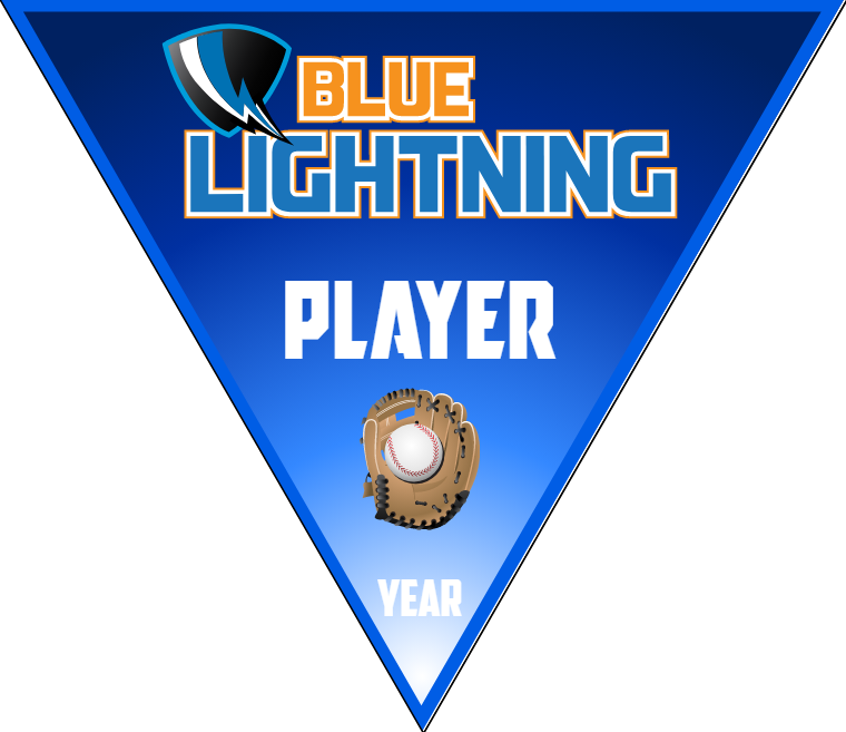 Blue Lightning 2 Softball Banner-baseball-banners-cheap-images