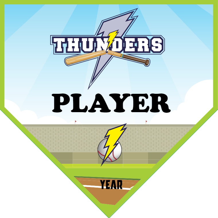 Thunders 1 Softball Banner-softball-banner-cost-picture