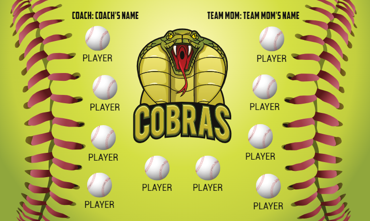 Cobras Softball Banner-softball-parade-banner-ideas-picture