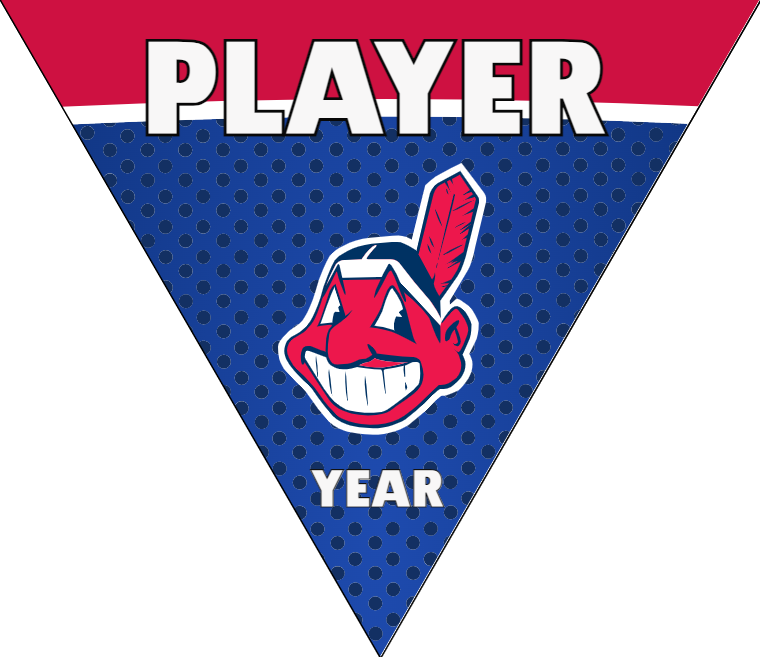 Cleveland Baseball Banner-cardinal-baseball-banners-images