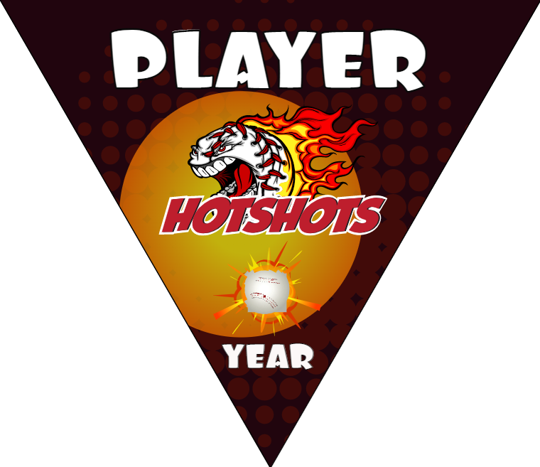 Hotshots Baseball Banner-free-baseball-birthday-banner-images