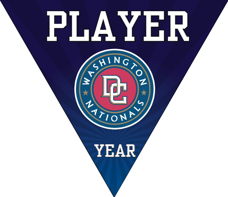Nationals Baseball Banner