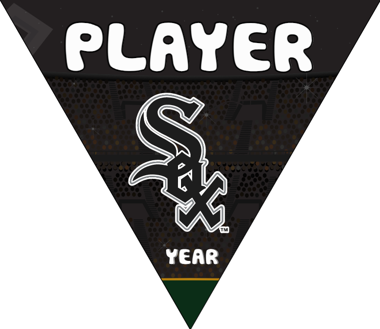 Sox Baseball Banner-banner-island-baseball-park-images