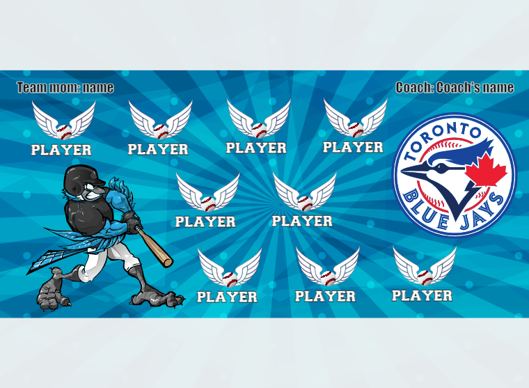 Toronto Baseball Banner-youth-baseball-banners-images