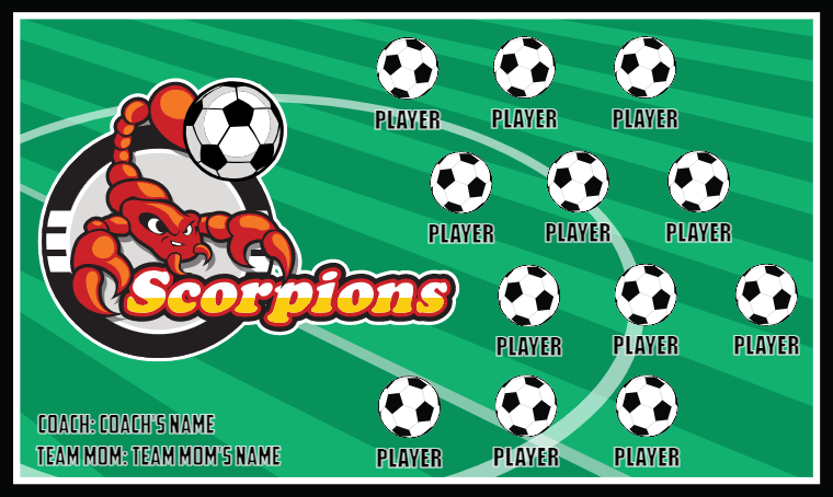 Scorpions Soccer Banner-soccer-banner-flags-picture