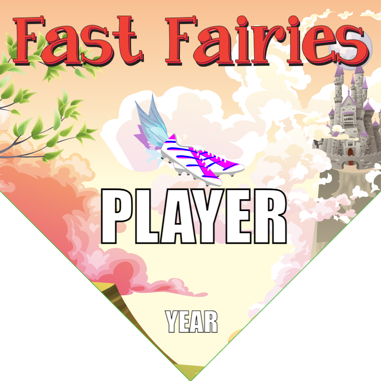 Fairies Fast Soccer Banner-soccer-banner-picture