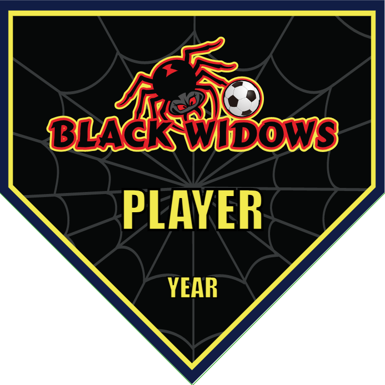 Black Widows 2 Soccer Banner-soccer-banner-stand-picture