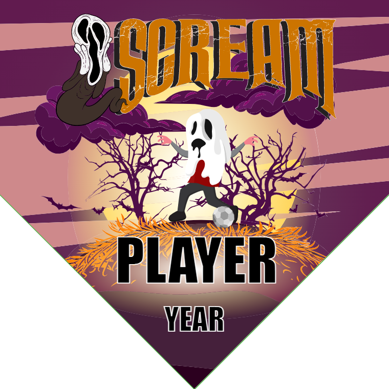 Scream Soccer Banner-soccer-field-banners-picture