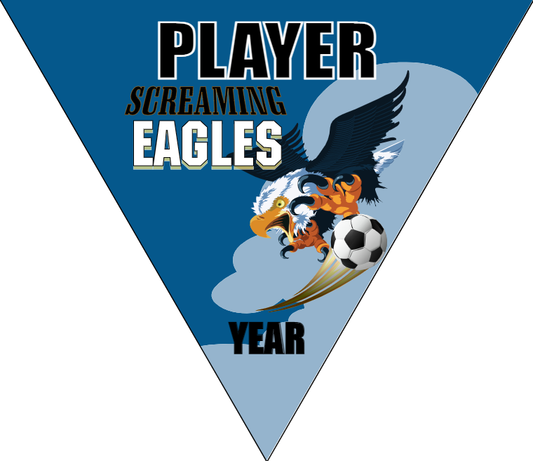 Screaming Eagles Soccer Bannersoccer-banner-ideas-picture