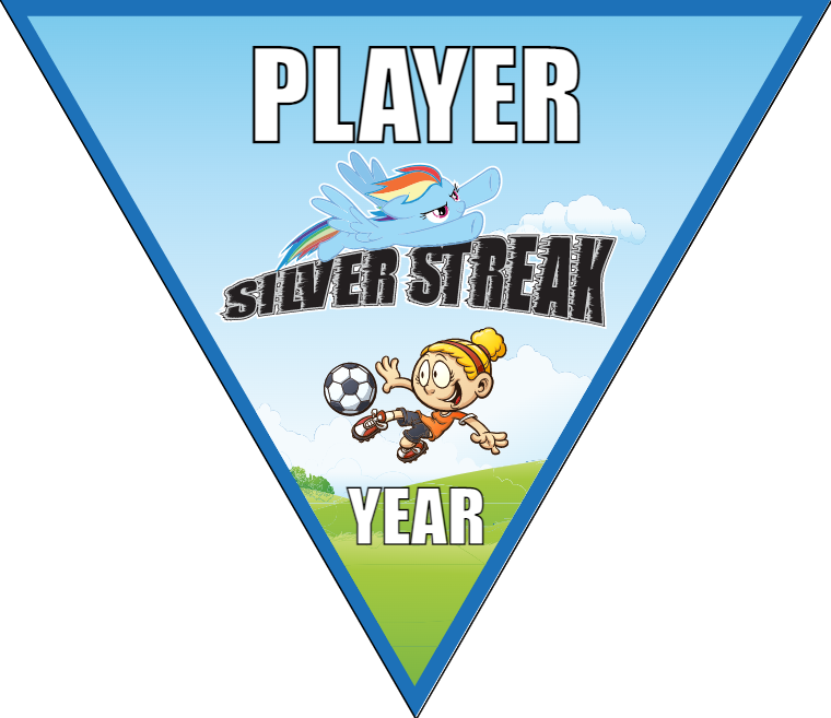 Silver Streak Soccer Banner-soccer-party-banner-picture