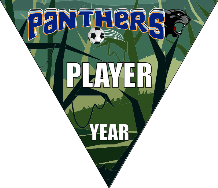 Panthers Soccer Banner-soccer-banners-sacramento-picture