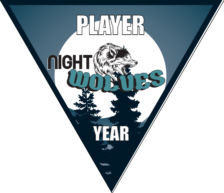 Night Wolves 1 Soccer Banner-soccer-banners-and-flags-picture