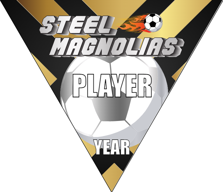 Steel Magnolias 2 Soccer Banner-soccer-banners-picture