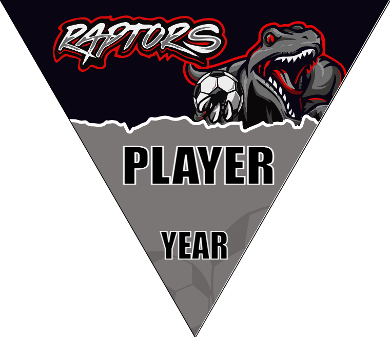 Raptors 2 Soccer Banner-soccer-party-banner-picture