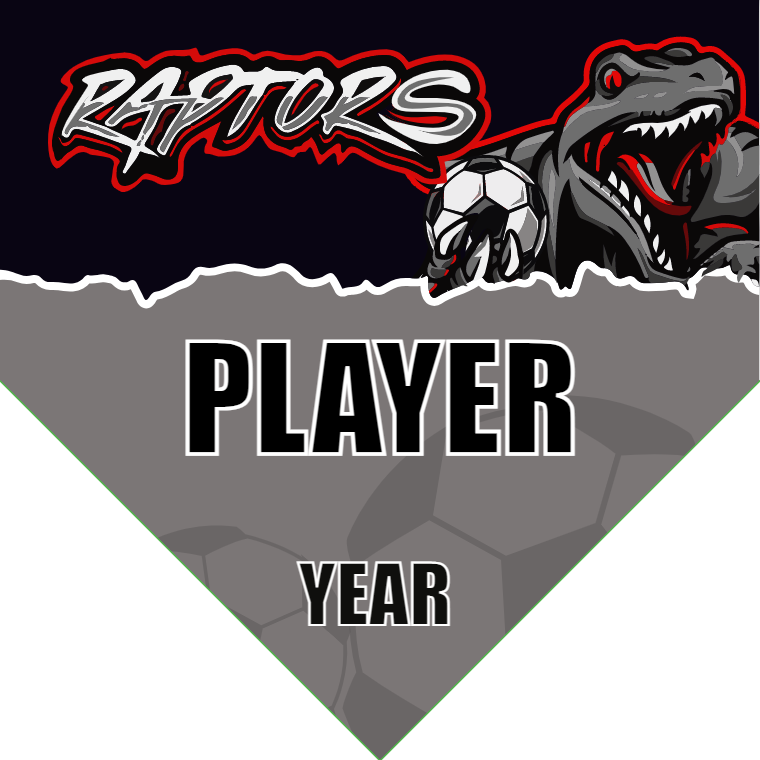 Raptors 2 Soccer Banner-youth-soccer-banners-picture