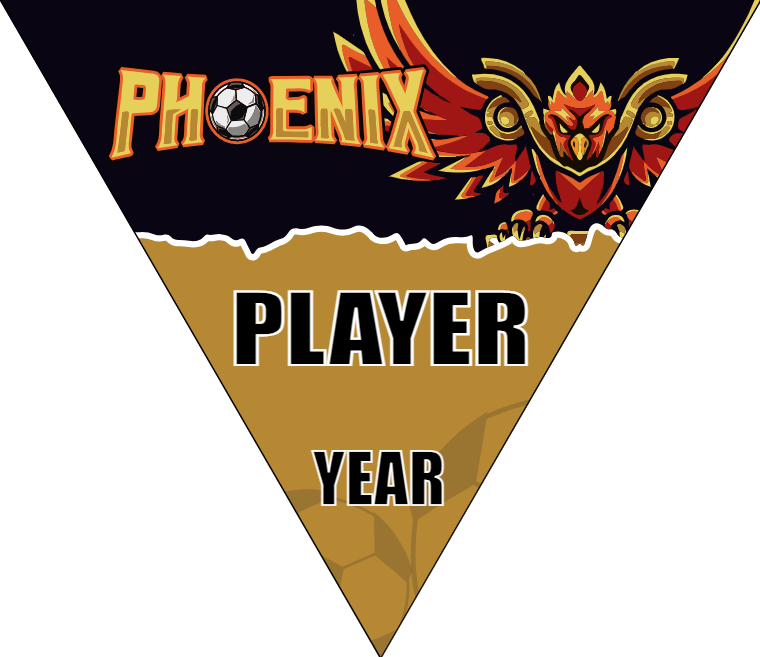 Phoenix Soccer Banner-soccer-banner-stand-pvc-picture