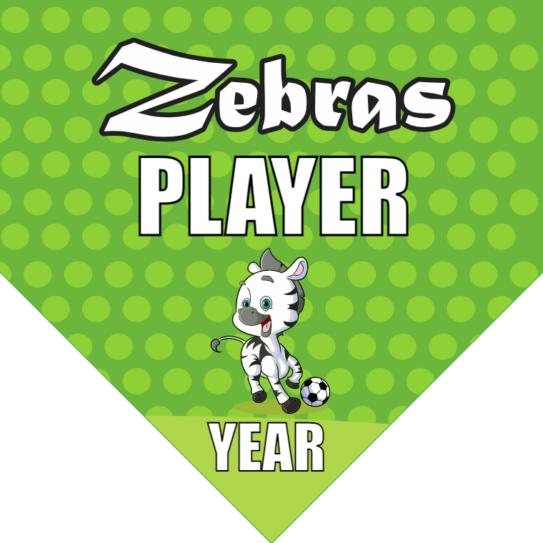 Zebras 1 Soccer Banner-soccer-banner-gallery-picture